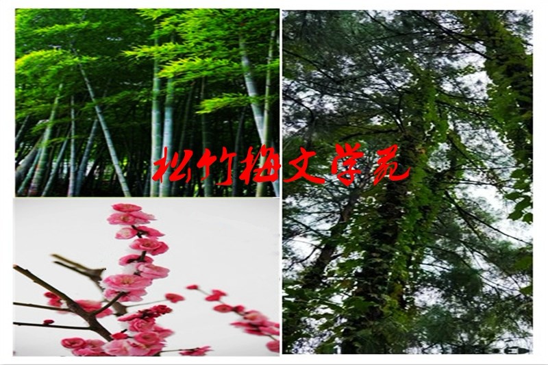 1571577560356051572.jpg szm02.jpg