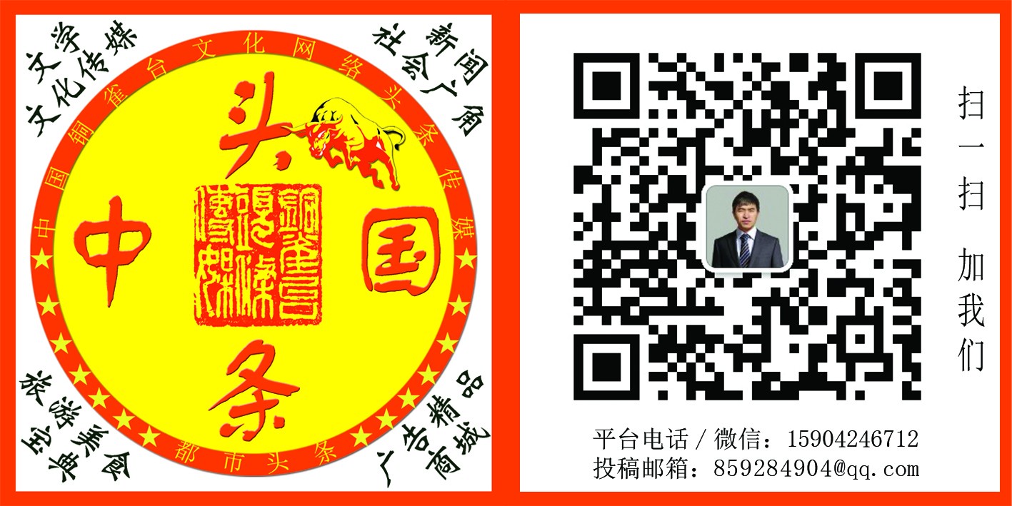 1609400743140087313.jpg 鍙版爣鏂板浘鍓湰.jpg