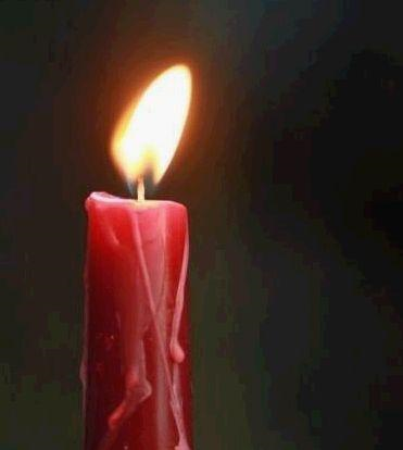 1610264569078092886.png image.png