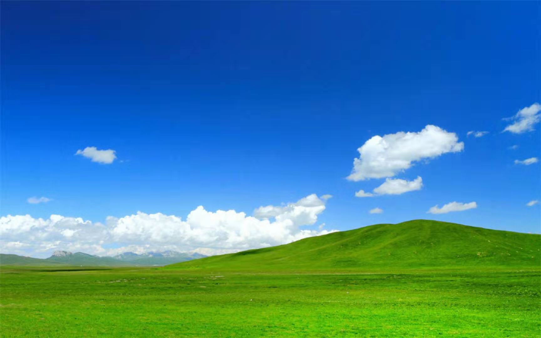 127d0b7b449285162f7050360256572.jpg