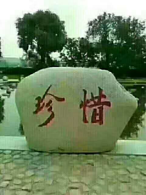 picname