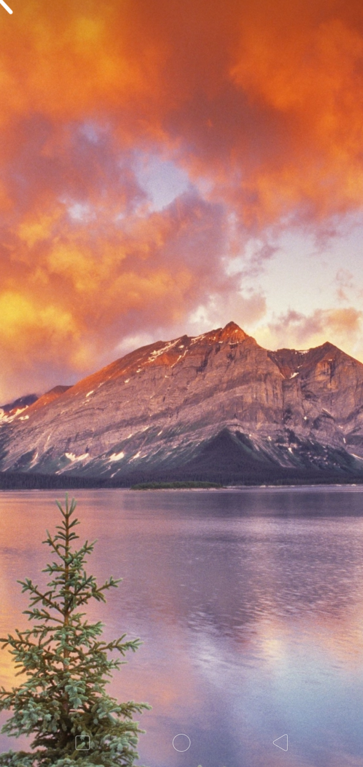 Screenshot_2019-09-10-18-58-44-24