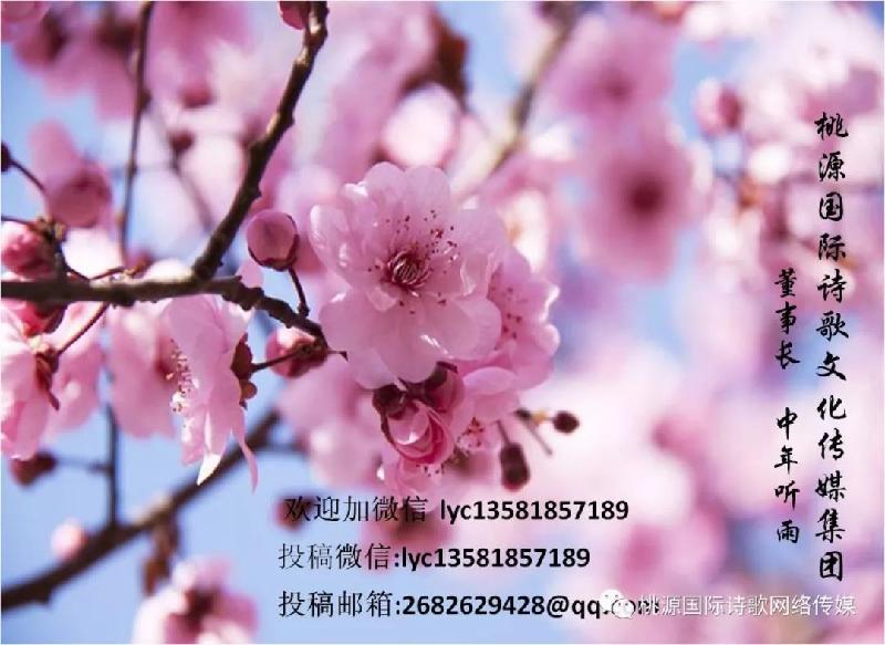 mmexport1565595596933