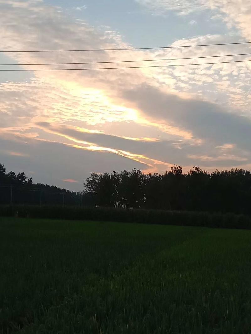 mmexport1568634716621