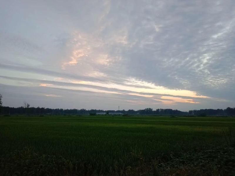 mmexport1568634785195