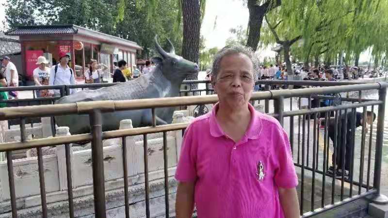 mmexport1565782683860