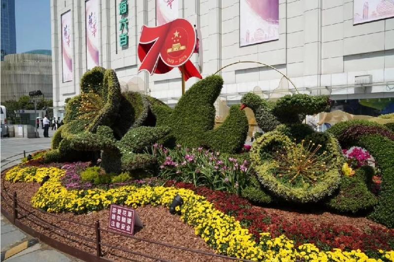 mmexport1569707200237