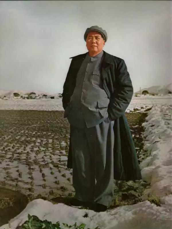 aff049e90cb14a128672864215c78473_th