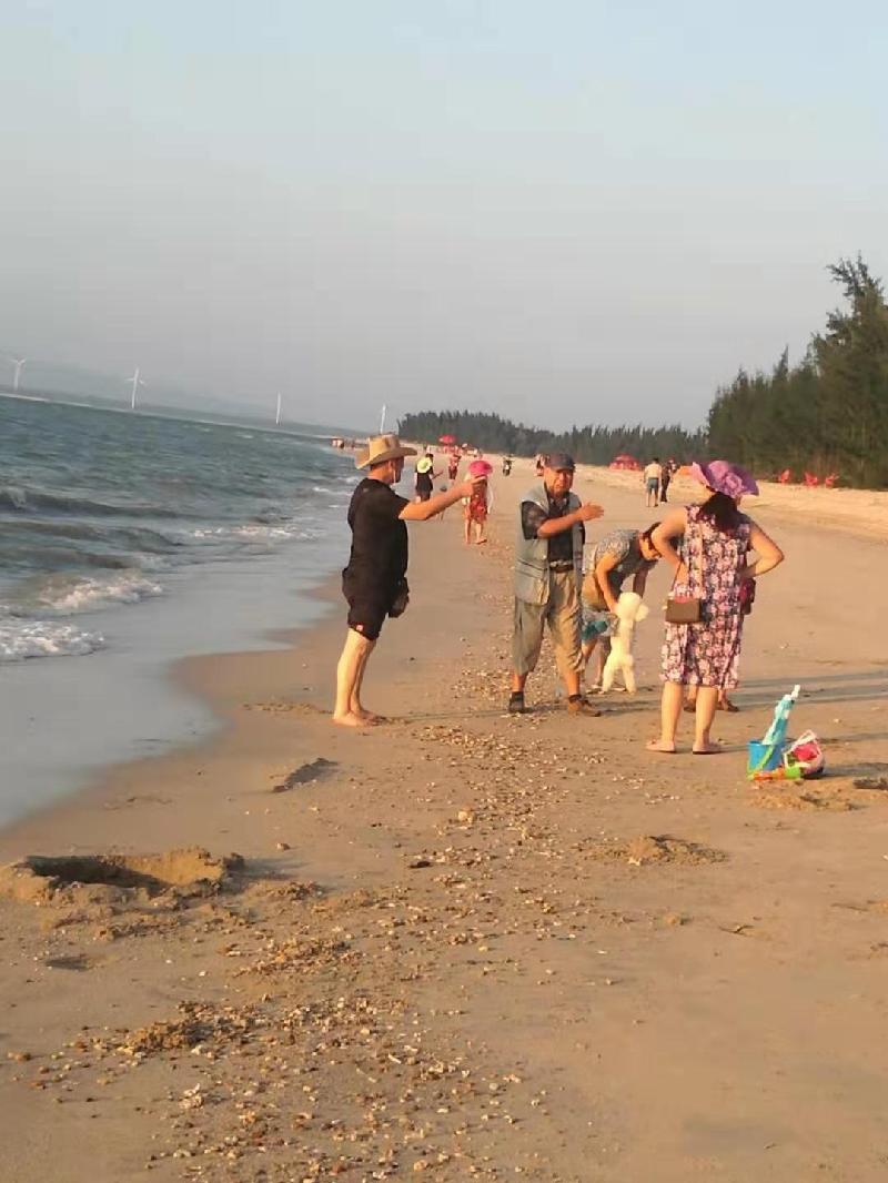 mmexport1570337933947