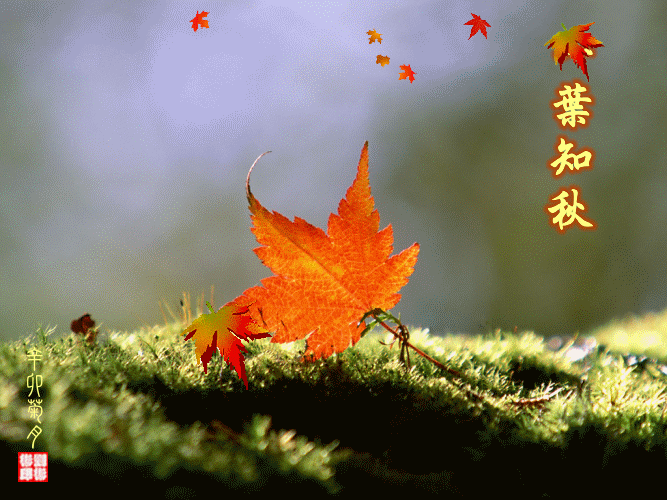 【同题诗·秋风】文/平台诗友【采菊文苑·古诗词专辑