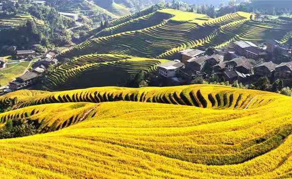 mmexport1571750284959