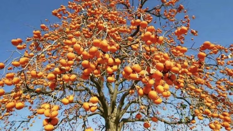 mmexport1571769572942