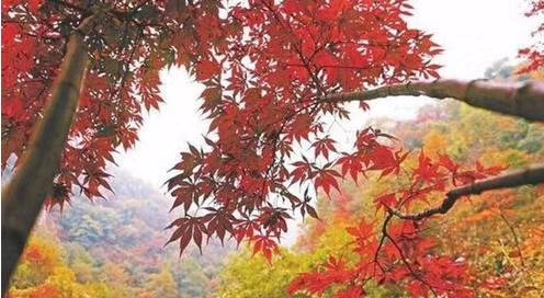 mmexport1571769563880