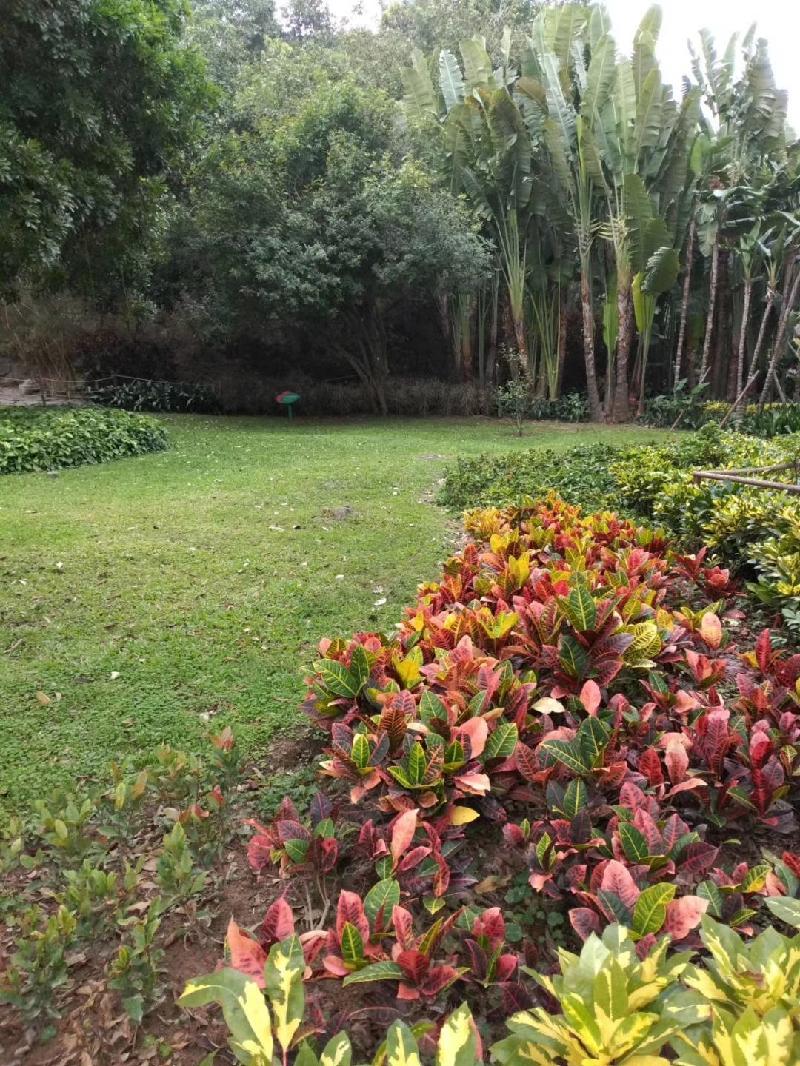 mmexport1571739612828