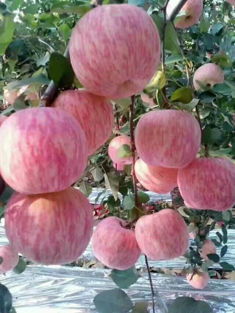 mmexport1571656717700