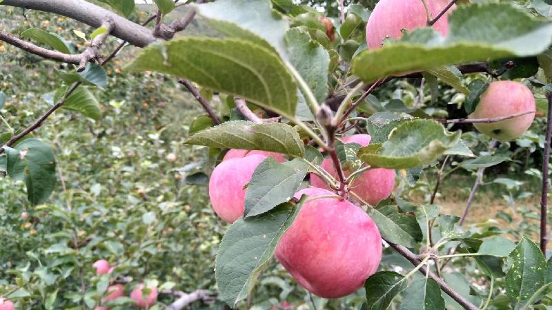 mmexport1571656945956