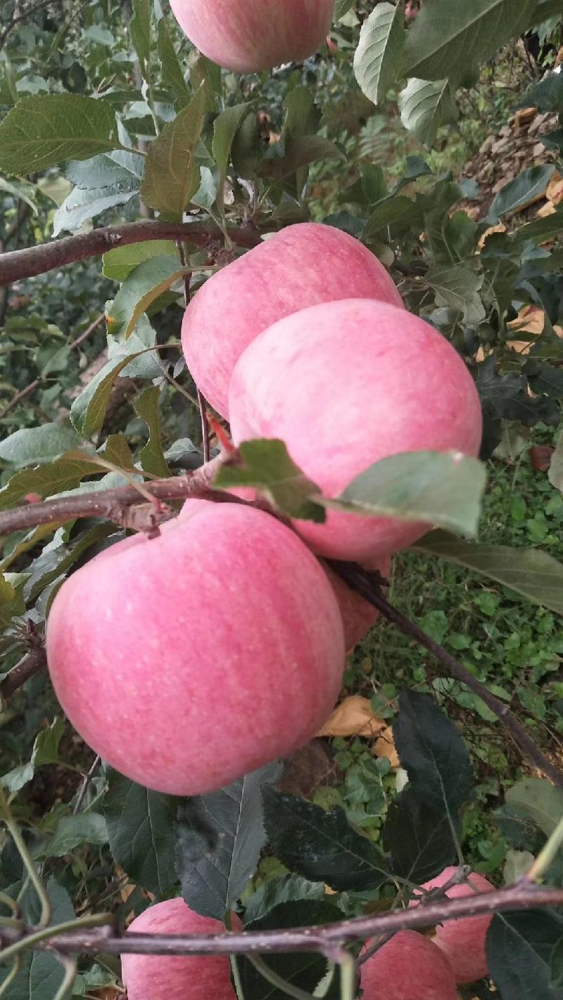 mmexport1571655962342