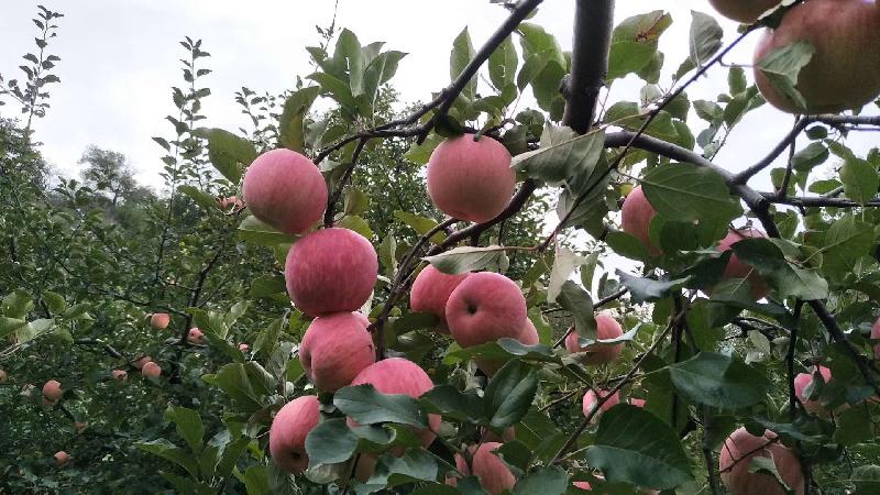 mmexport1571655998066