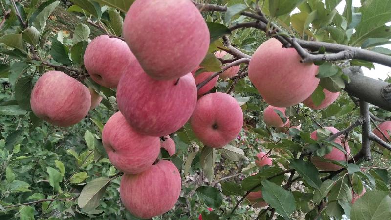 mmexport1571655992828