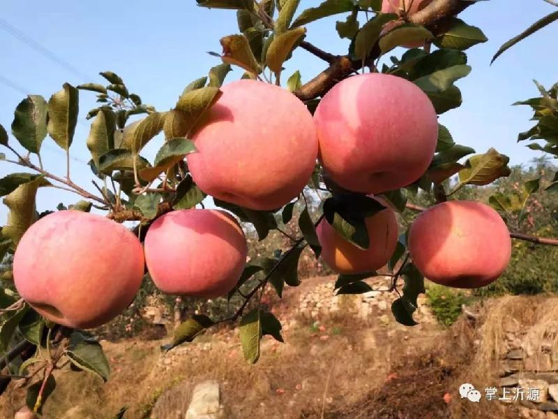 mmexport1571493433669