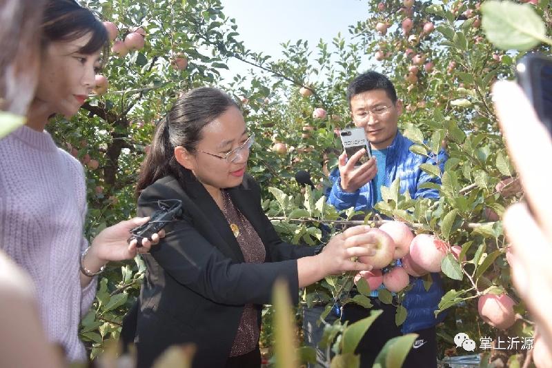 mmexport1571493237548