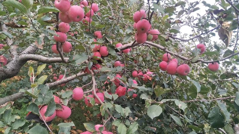 mmexport1571655985266