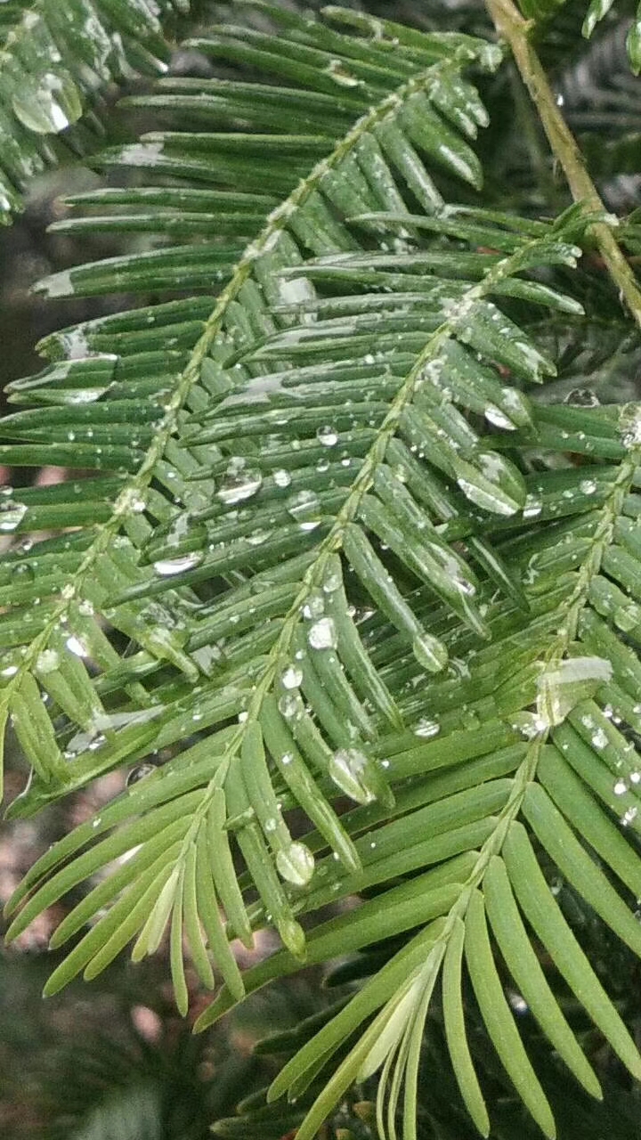 mmexport1571051035613