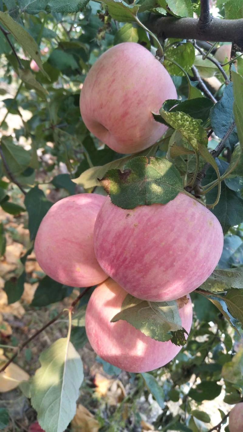 mmexport1571655928537