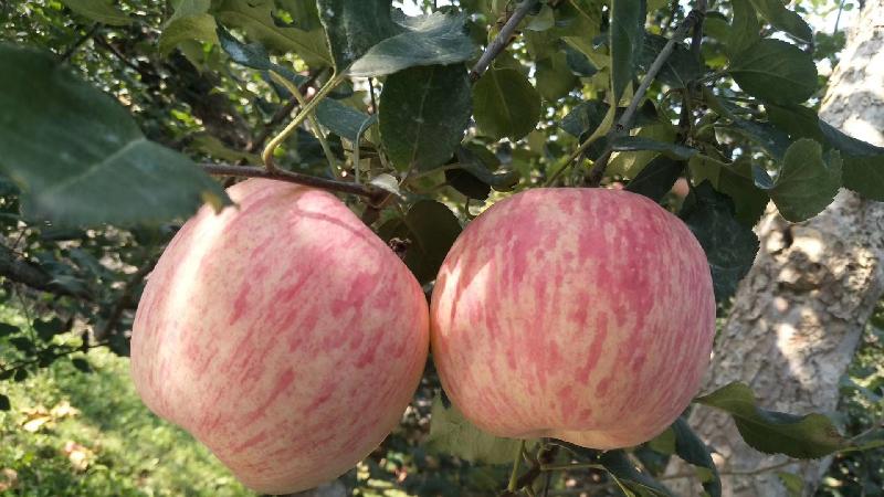 mmexport1571655944484