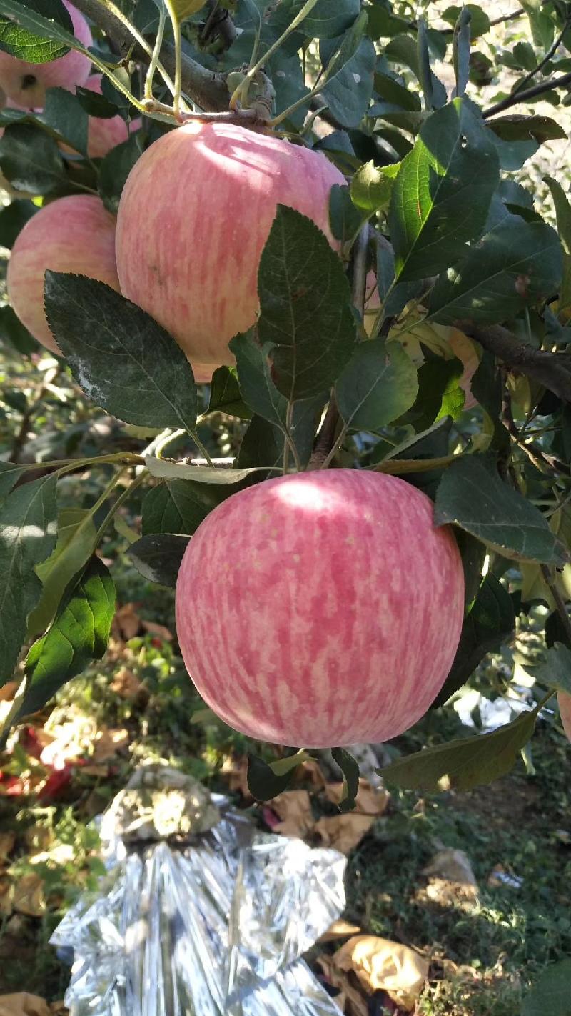 mmexport1571655978197