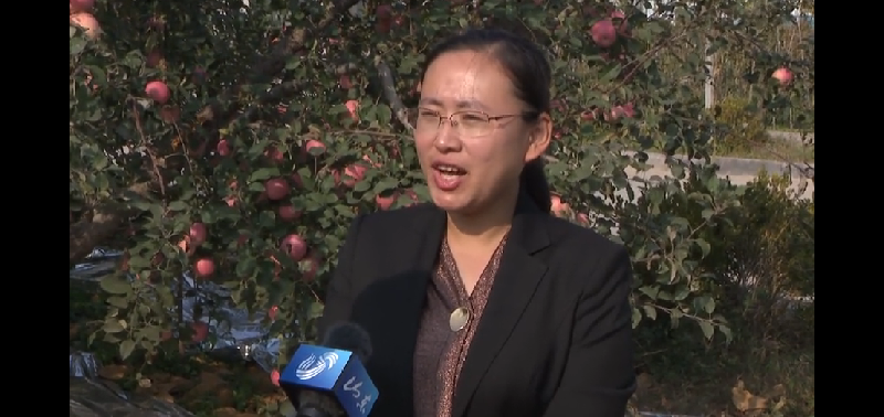 Screenshot_2019-10-19-21-56-34-06