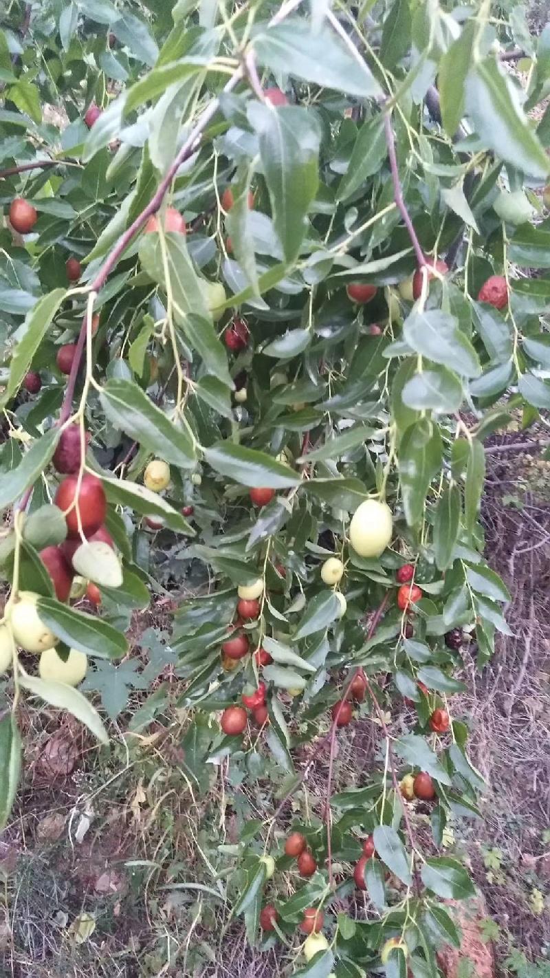 mmexport1571656869396