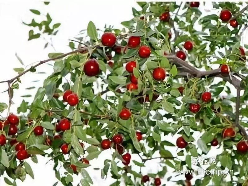 mmexport1570882598123