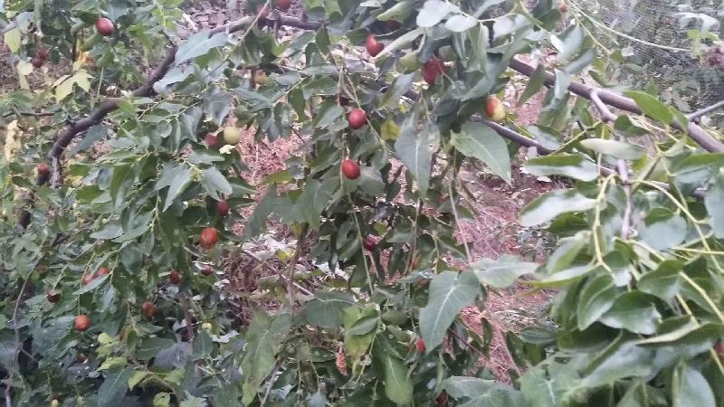 mmexport1571656865336