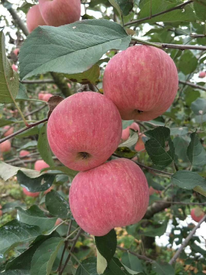 mmexport1571656391595