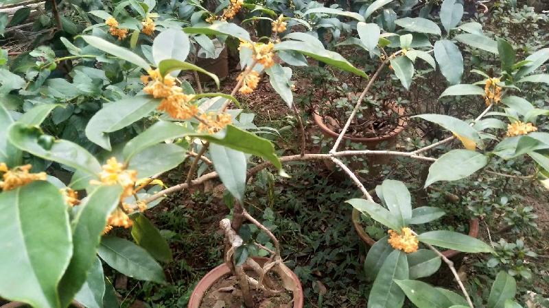 mmexport1571656910254