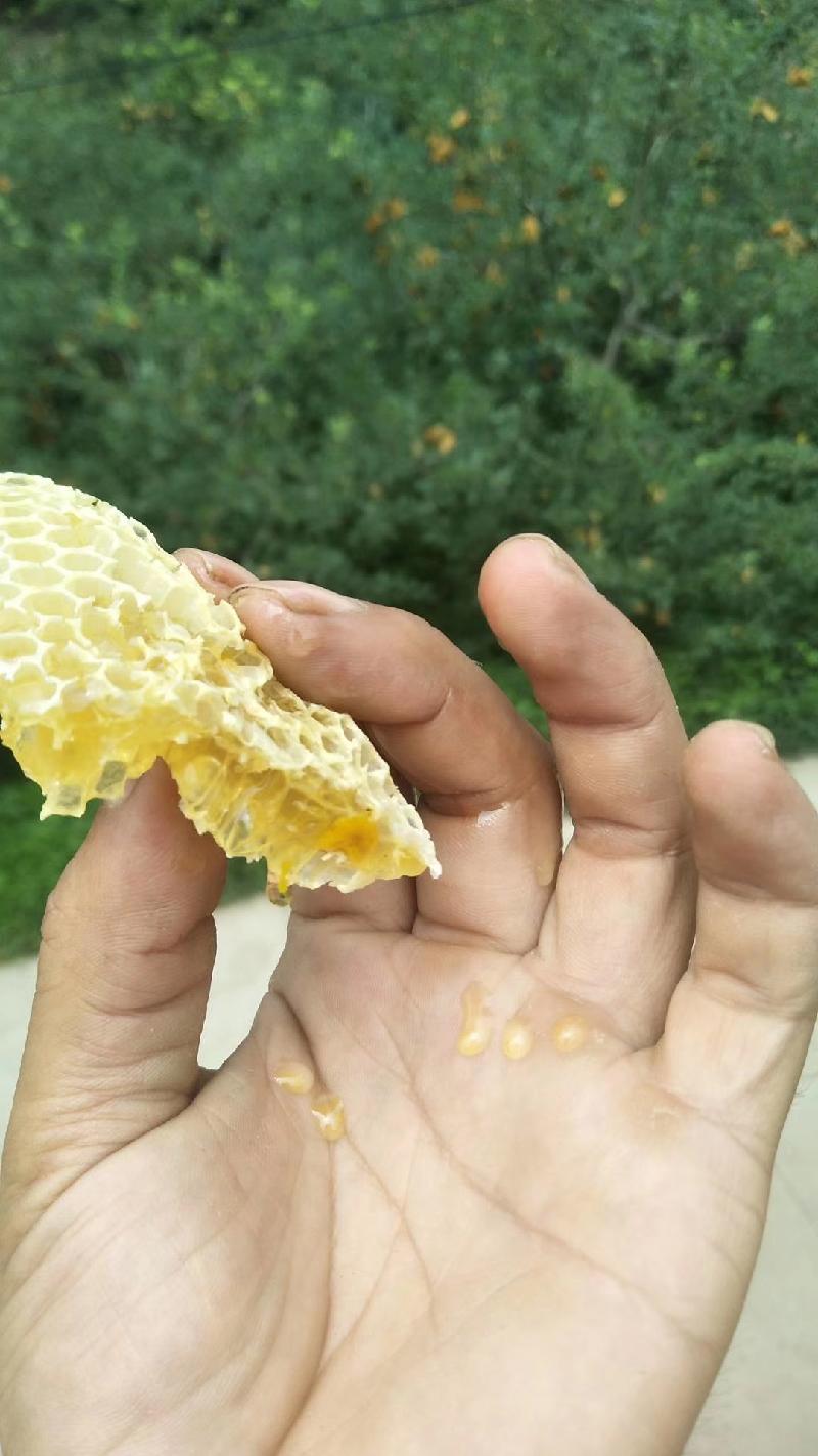 mmexport1571656815462