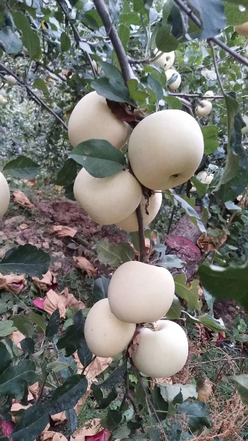 mmexport1569764159023