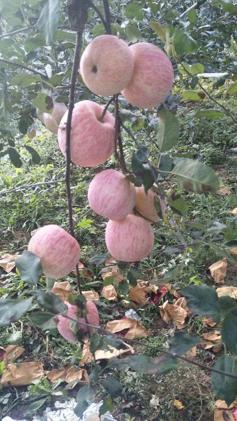 mmexport1571656238198