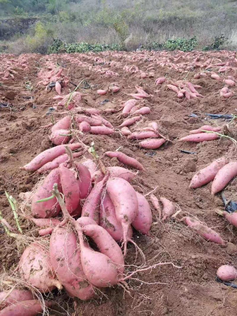 mmexport1571315441005