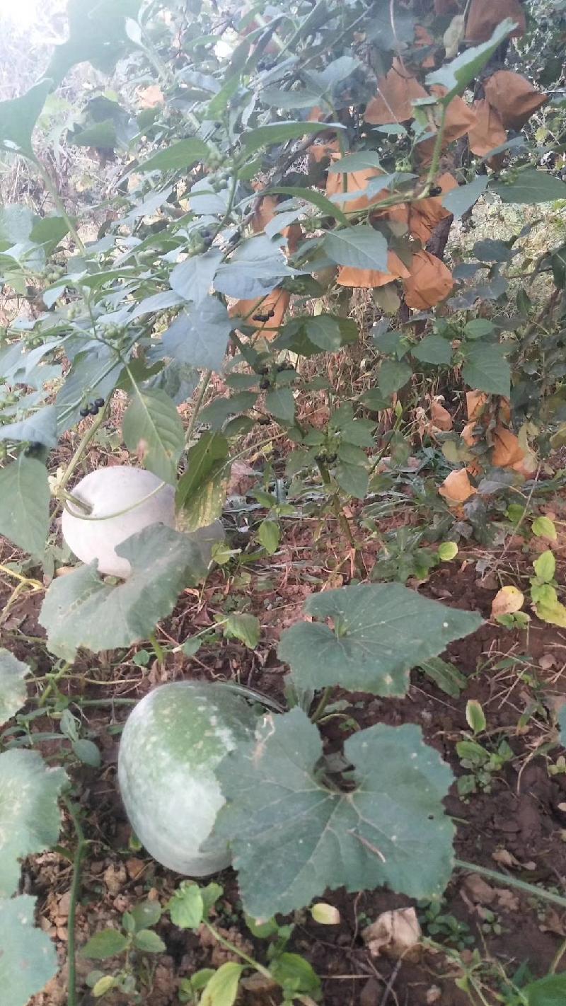 mmexport1571656463661