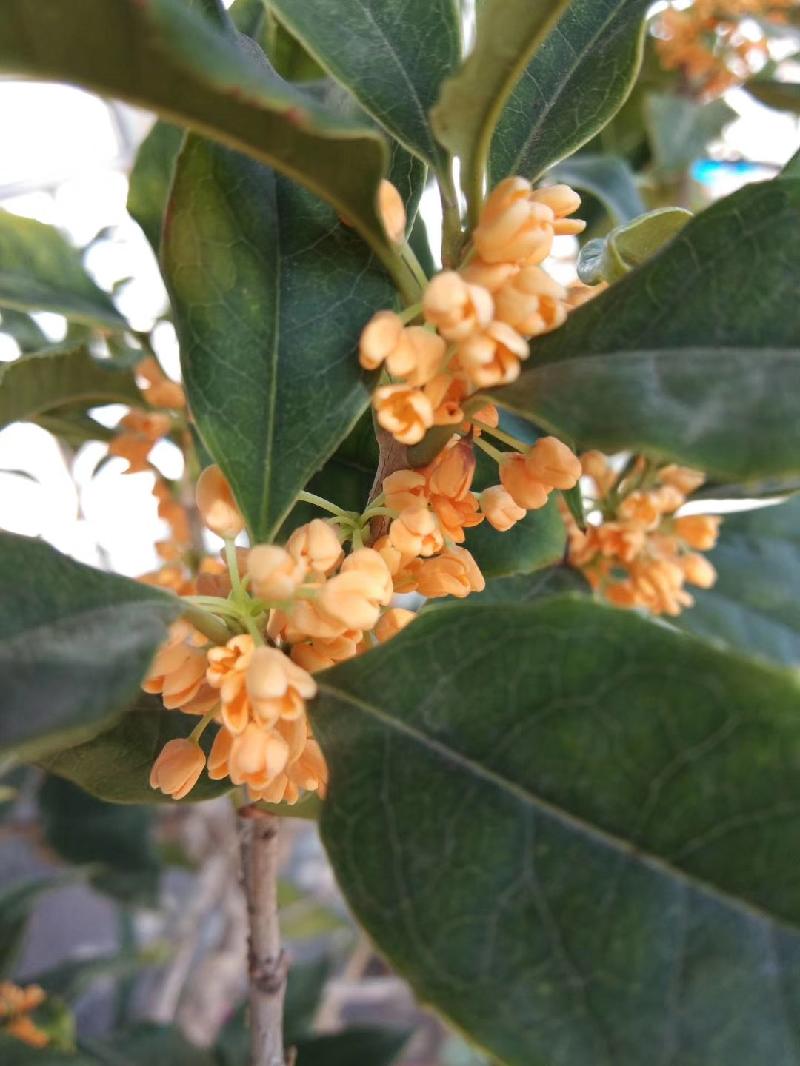 mmexport1571718163676