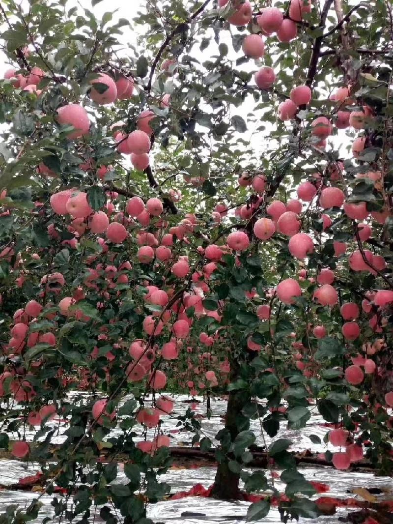 mmexport1571655949078