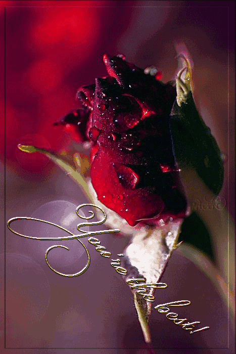 【亲爱的,我想你了】〔原创诗歌〕 作者:寒冰幽蓝(甘肃)【冰心文化