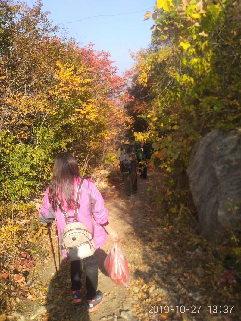 mmexport1572184897867