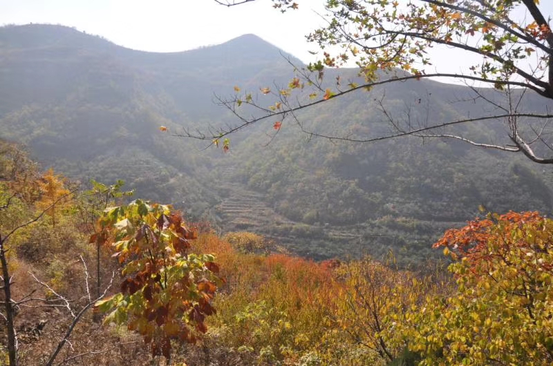 mmexport1572350964248