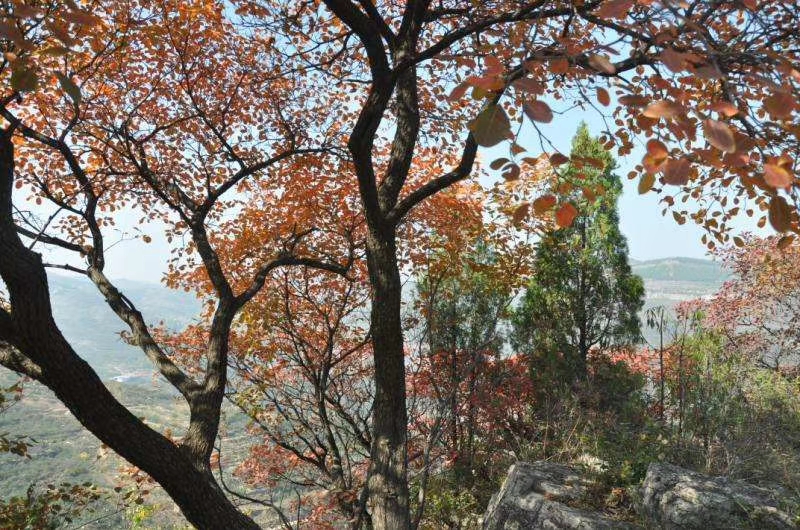 mmexport1572350960430