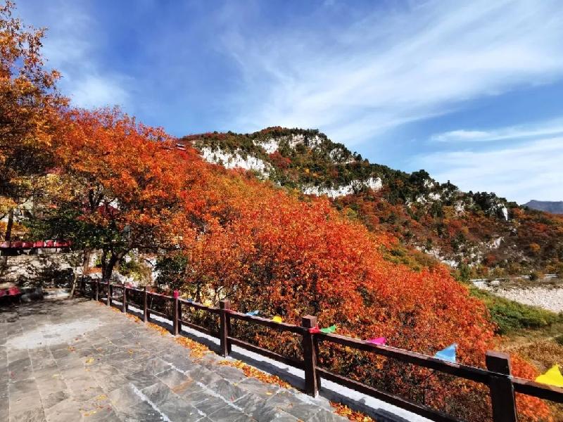 mmexport1572389167333