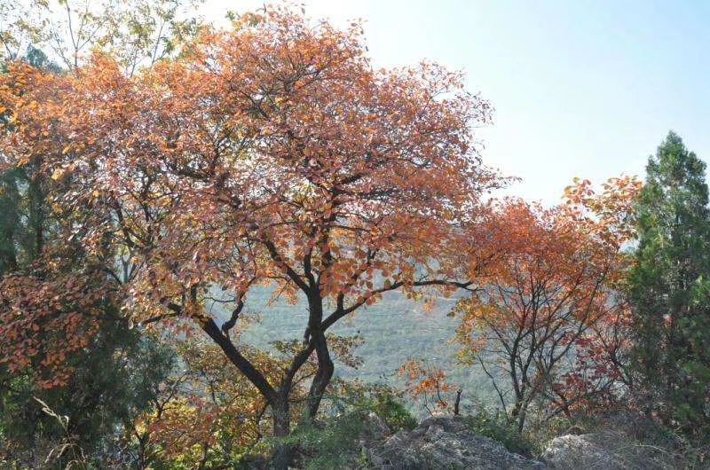 mmexport1572350967833