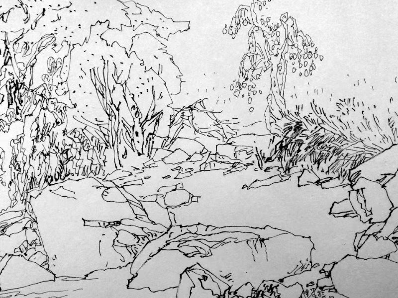 mmexport1572358710474